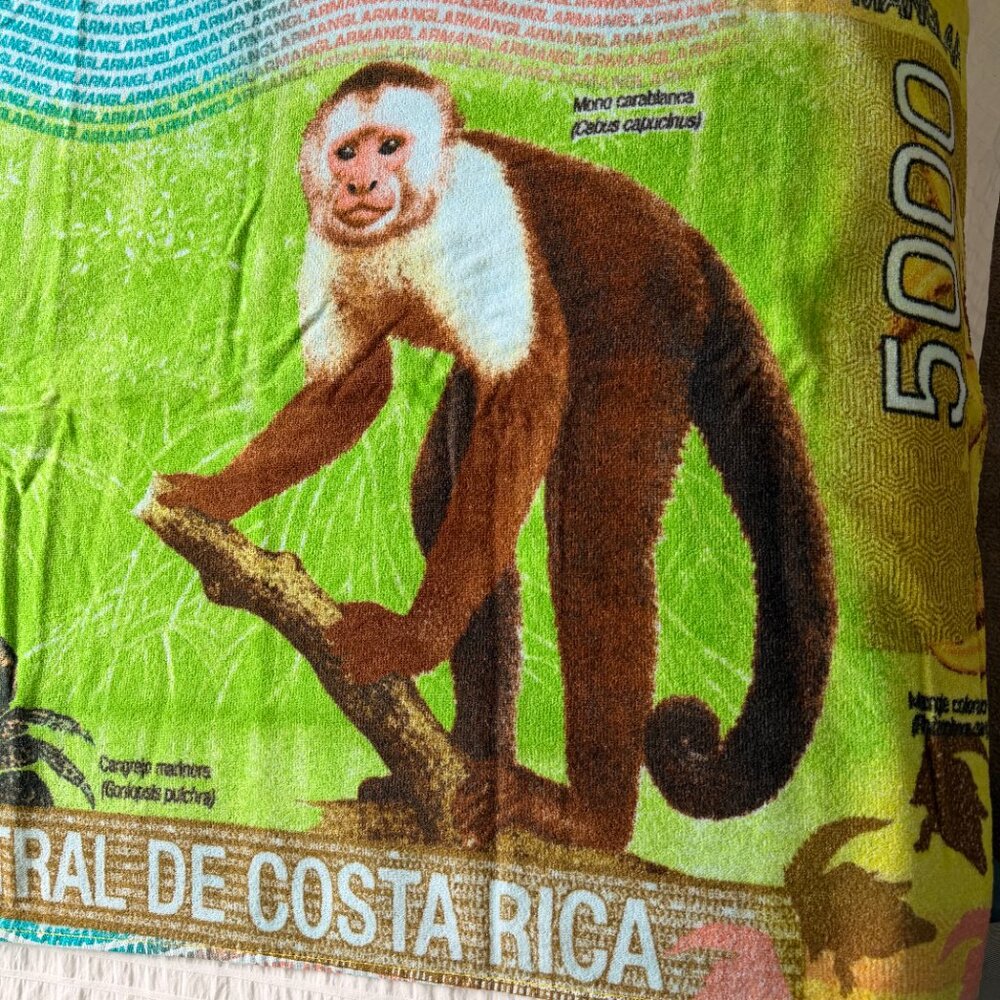 NWOT Costa Rica Monkey Beach Towel - Picture 3 of 11